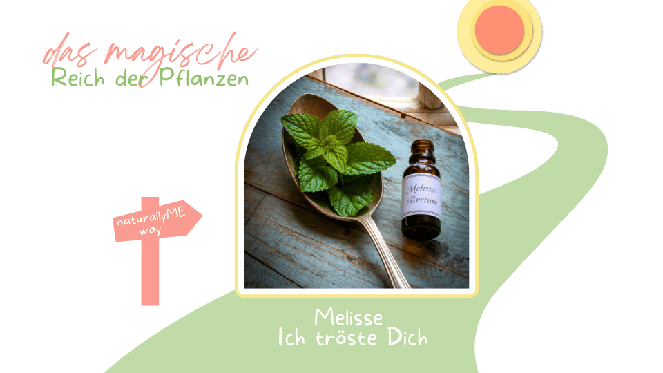 Melisse Tinktur Die Sprache der Pflanzen verstehen Heilpflanzen DIY