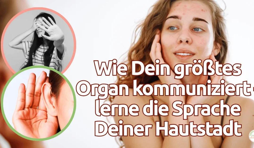 hautkommunikation hautstadt sprache verstehen naelco.webp