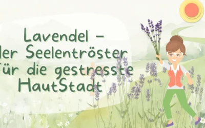 Lavendel – Der Seelentröster für Haut und Herz