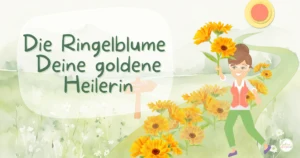 ringelblume hautpflege wundheilung header naelco.webp