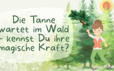 Die Tanne in der Hautpflege – eine winterliche Heilerin für Deine Atemwege