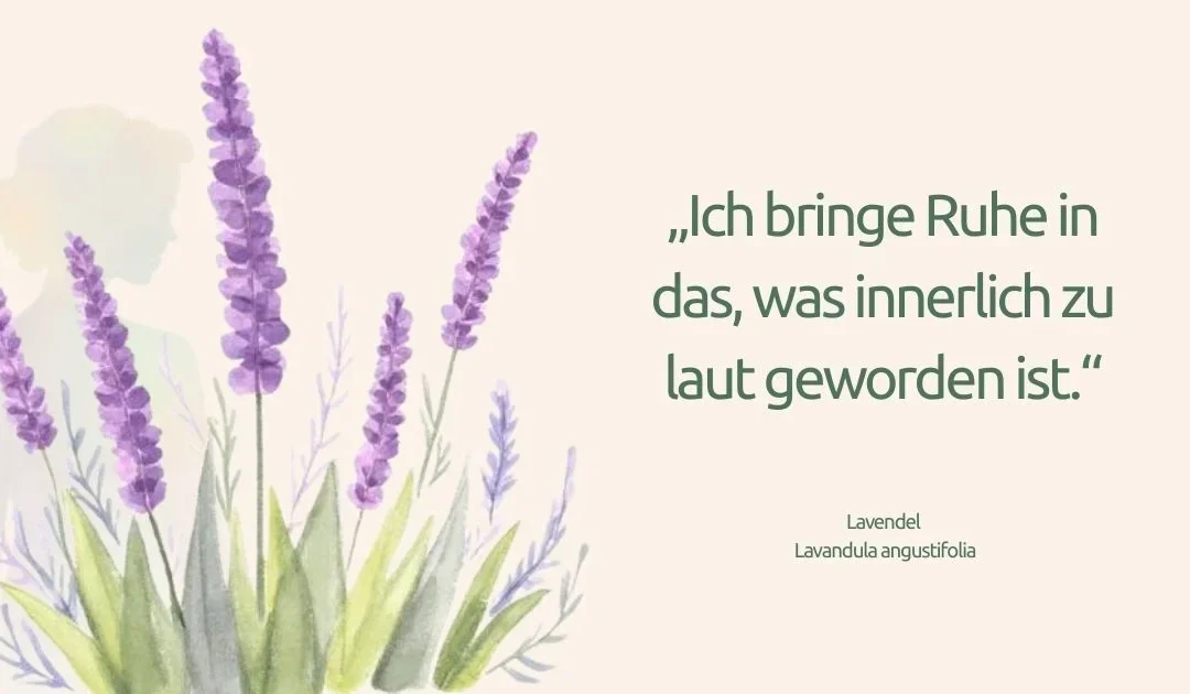 Lavendel auf der Haut