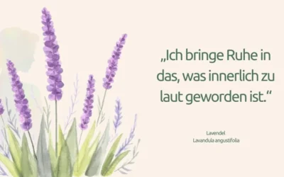 Lavendel auf der Haut