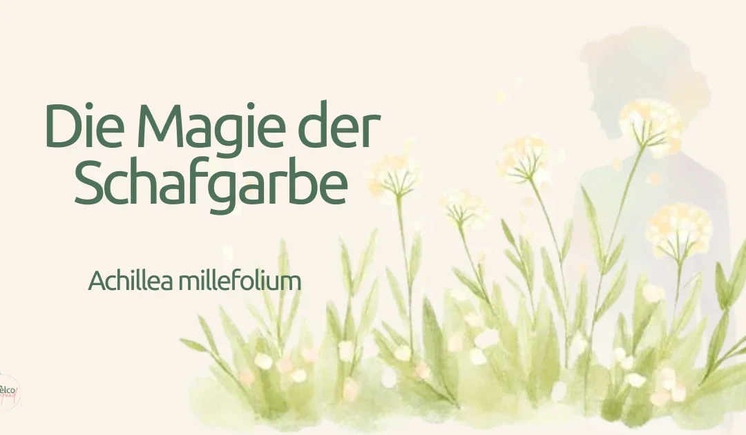 Schafgarbe in der Hautpflege: Die Wiesenheilerin für Deine Haut