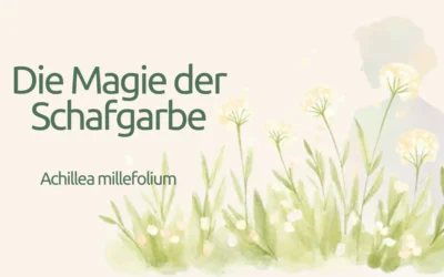 Schafgarbe in der Hautpflege: Die Wiesenheilerin für Deine Haut