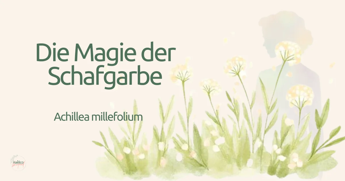 Schafgarbe Hautpflege naelco skinfood.webp